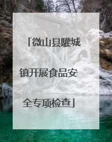 微山县驩城镇开展食品安全专项检查