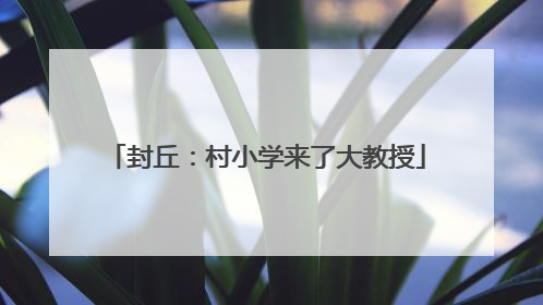 封丘：村小学来了大教授