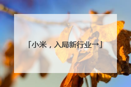 小米，入局新行业→