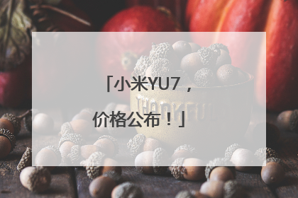 小米YU7，价格公布！
