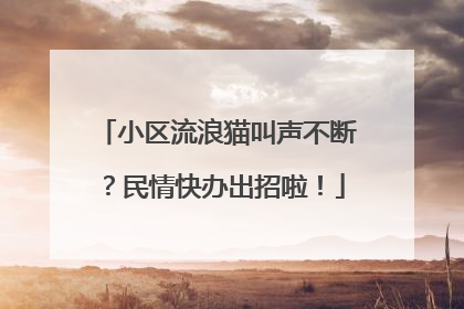 小区流浪猫叫声不断？民情快办出招啦！