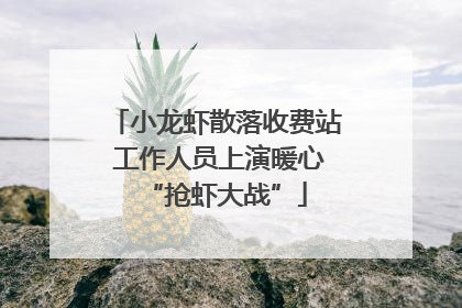 小龙虾散落收费站 工作人员上演暖心“抢虾大战”