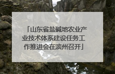山东省盐碱地农业产业技术体系建设任务工作推进会在滨州召开