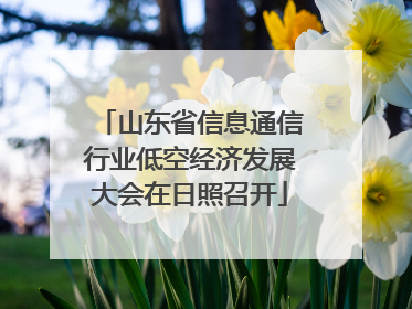 山东省信息通信行业低空经济发展大会在日照召开