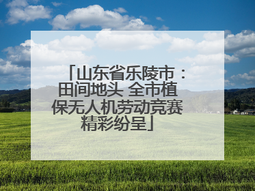 山东省乐陵市：田间地头 全市植保无人机劳动竞赛精彩纷呈