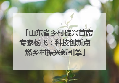 山东省乡村振兴首席专家杨飞：科技创新点燃乡村振兴新引擎
