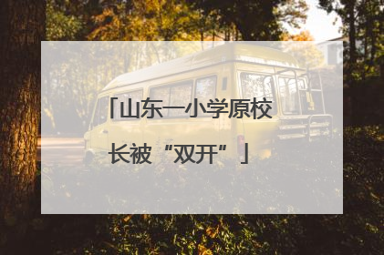 山东一小学原校长被“双开”