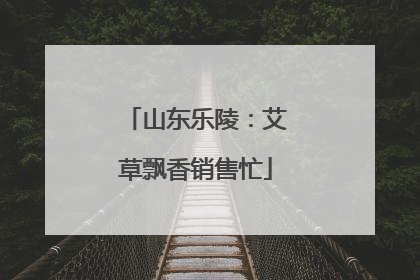 山东乐陵：艾草飘香销售忙