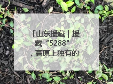 山东援藏｜援藏“5288”，高原上独有的“烟台浪漫”