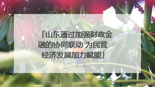 山东通过加强财政金融的协同联动 为民营经济发展加力赋能