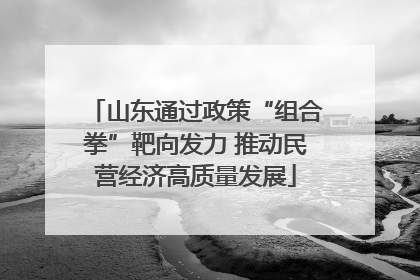 山东通过政策“组合拳”靶向发力 推动民营经济高质量发展