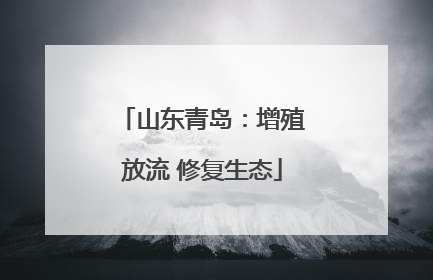 山东青岛：增殖放流 修复生态