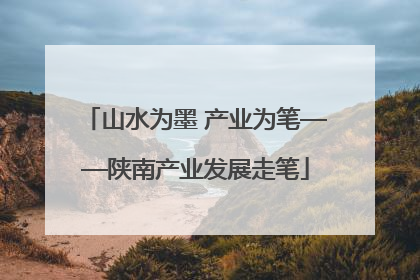 山水为墨 产业为笔——陕南产业发展走笔