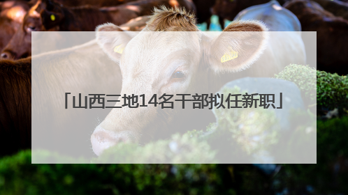 山西三地14名干部拟任新职