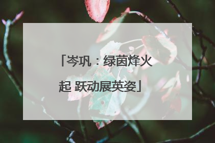 岑巩：绿茵烽火起 跃动展英姿