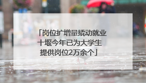 岗位扩增量撬动就业 十堰今年已为大学生提供岗位2万余个