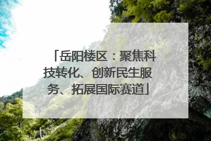岳阳楼区：聚焦科技转化、创新民生服务、拓展国际赛道