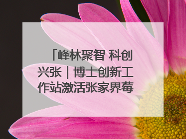 峰林聚智 科创兴张｜博士创新工作站激活张家界莓茶产业新动能