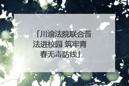川渝法院联合普法进校园 筑牢青春无毒防线