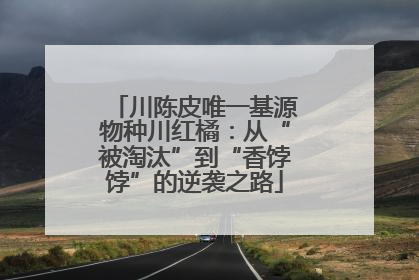 川陈皮唯一基源物种川红橘：从“被淘汰”到“香饽饽”的逆袭之路
