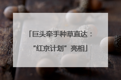 巨头牵手种草直达：“红京计划”亮相