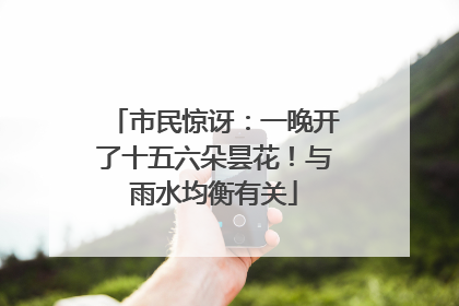 市民惊讶：一晚开了十五六朵昙花！与雨水均衡有关