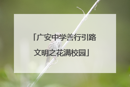 广安中学善行引路 文明之花满校园