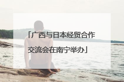 广西与日本经贸合作交流会在南宁举办