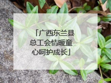 广西东兰县总工会情暖童心呵护成长