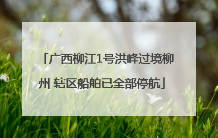 广西柳江1号洪峰过境柳州 辖区船舶已全部停航