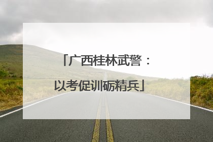 广西桂林武警：以考促训砺精兵