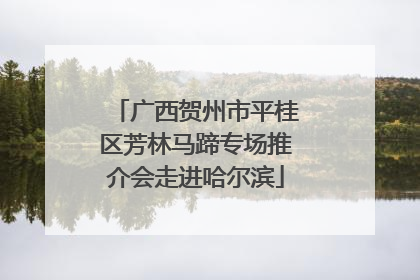 广西贺州市平桂区芳林马蹄专场推介会走进哈尔滨