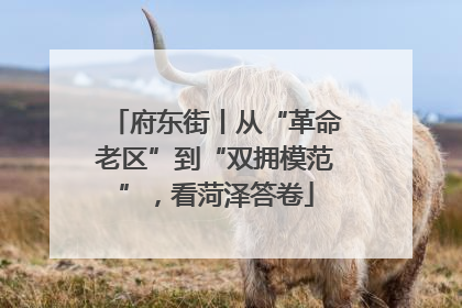 府东街丨从“革命老区”到“双拥模范”，看菏泽答卷