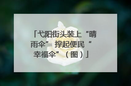 弋阳街头装上“晴雨伞” 撑起便民“幸福伞”（图）