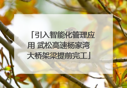 引入智能化管理应用 武松高速杨家湾大桥架梁提前完工