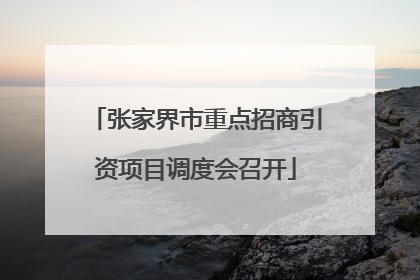 张家界市重点招商引资项目调度会召开