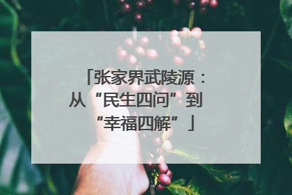 张家界武陵源：从“民生四问”到“幸福四解”