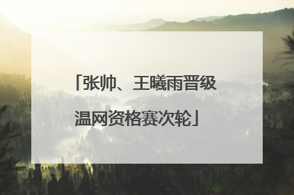 张帅、王曦雨晋级温网资格赛次轮