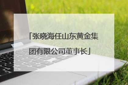 张晓海任山东黄金集团有限公司董事长
