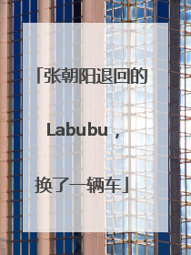 张朝阳退回的Labubu，换了一辆车