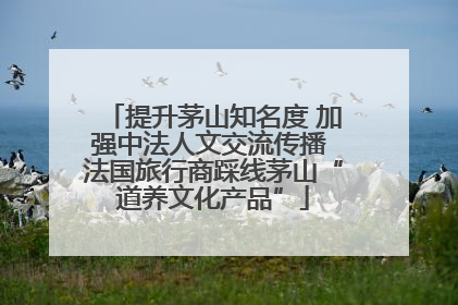 提升茅山知名度 加强中法人文交流传播 法国旅行商踩线茅山“道养文化产品”
