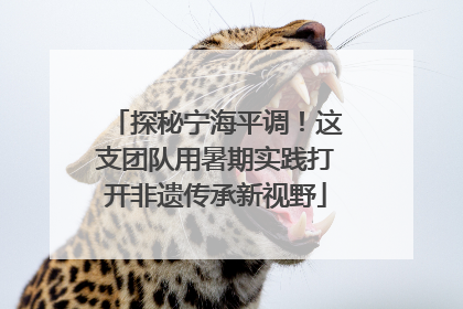 探秘宁海平调！这支团队用暑期实践打开非遗传承新视野