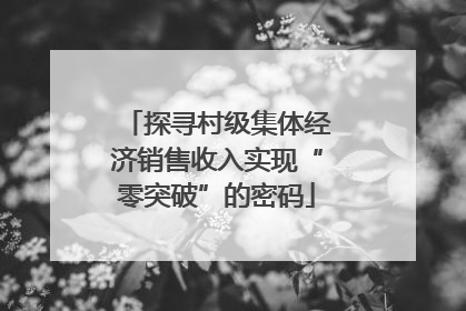 探寻村级集体经济销售收入实现“零突破”的密码