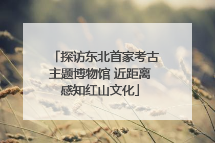 探访东北首家考古主题博物馆 近距离感知红山文化