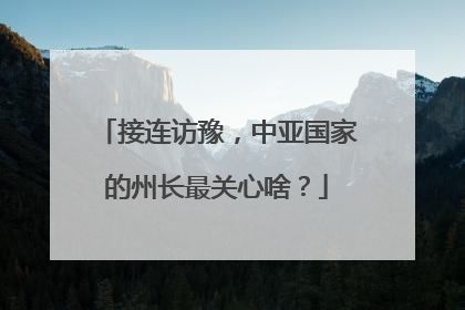 接连访豫，中亚国家的州长最关心啥？