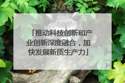 推动科技创新和产业创新深度融合，加快发展新质生产力