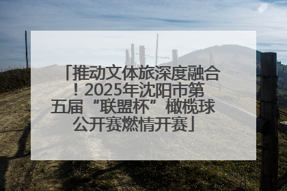 推动文体旅深度融合！2025年沈阳市第五届“联盟杯”橄榄球公开赛燃情开赛