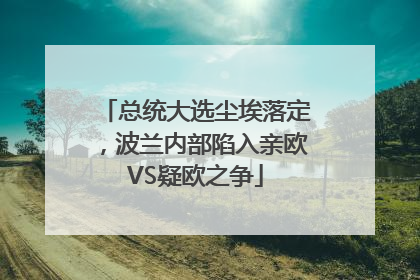总统大选尘埃落定，波兰内部陷入亲欧VS疑欧之争