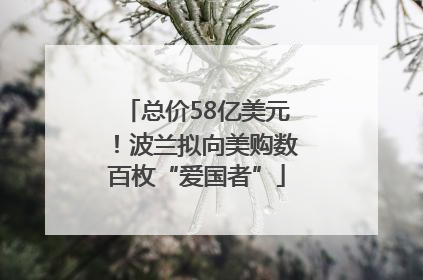 总价58亿美元！波兰拟向美购数百枚“爱国者”