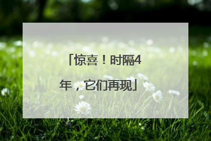 惊喜！时隔4年，它们再现